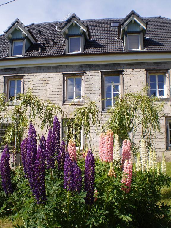 Chambres d'Hôtes le Clos des Lesses Fresse-sur-Moselle Extérieur photo